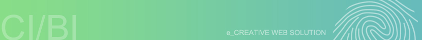 CI/BI ZINDESIGN Creative Web Solution